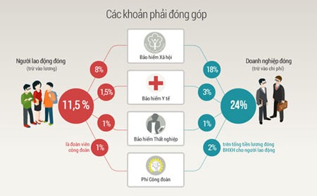 Các khoản người lao động phải đóng góp (xem chi tiết).